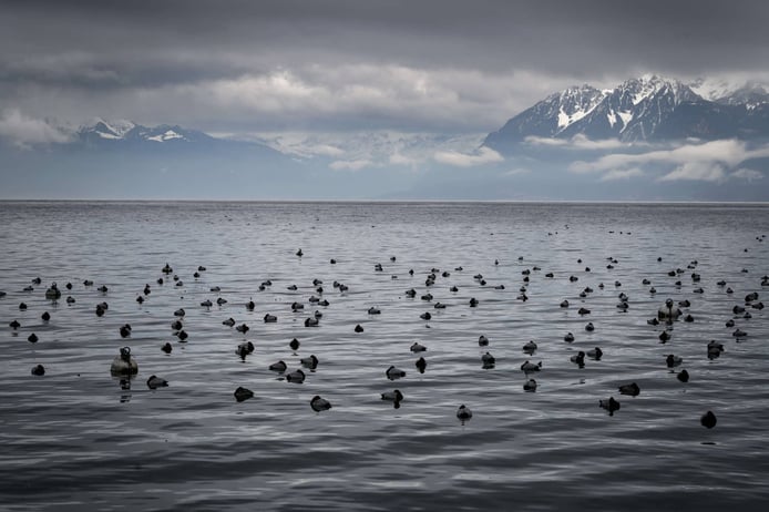 Study abroad Switzerland