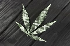 Investisseur : Considerez l'industrie du cannabis