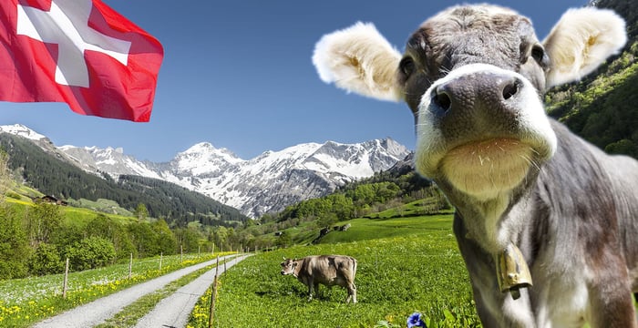 Solutions for a regenerative hospitality ecosystem