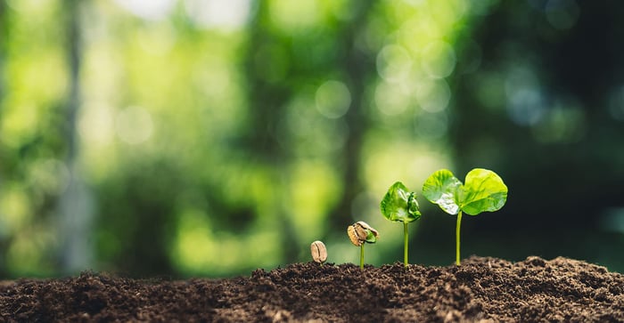 regenerative tourism 