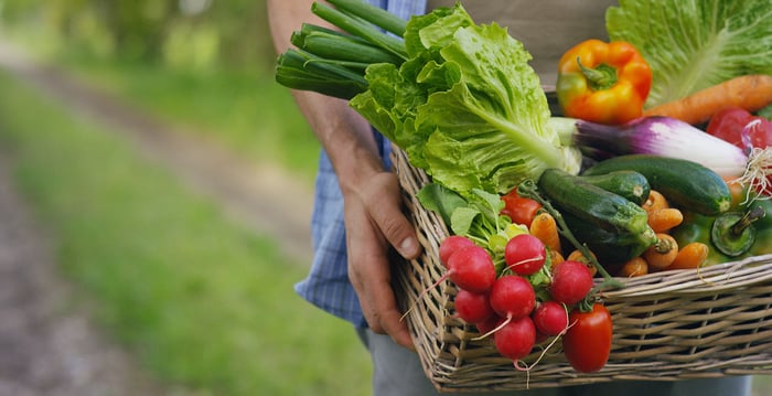 Photography of a vegetable basket