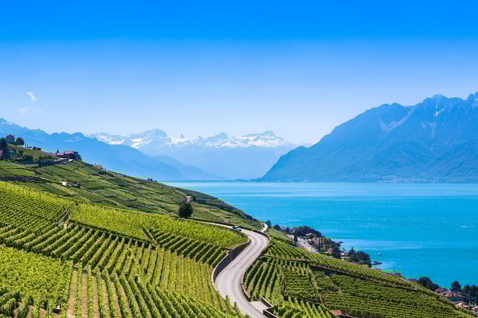 Swiss vineyards