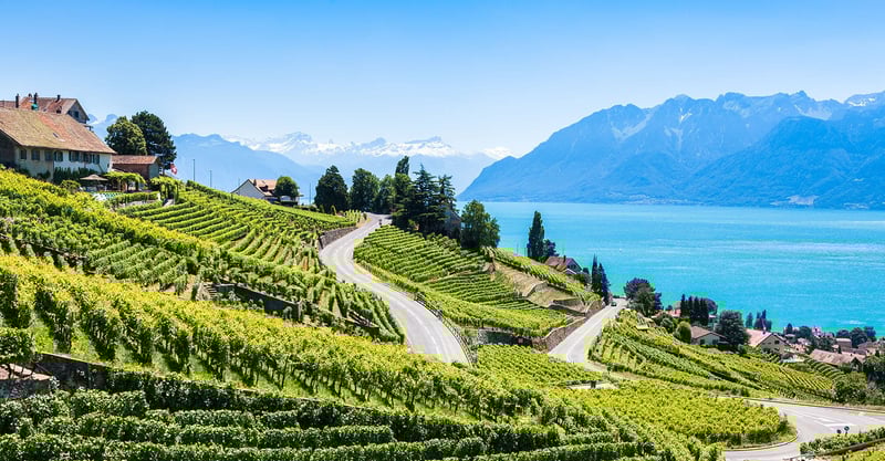 sustainable swiss wine