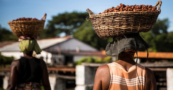sustainable chocolate production