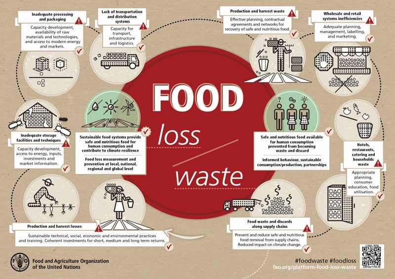 Food Waste Management Innovations In The Foodservice Industry