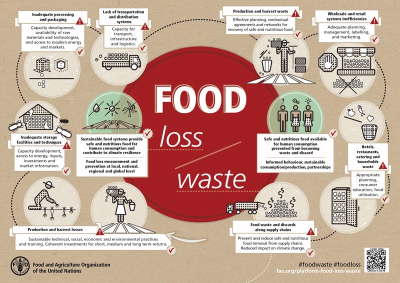 food waste management case study