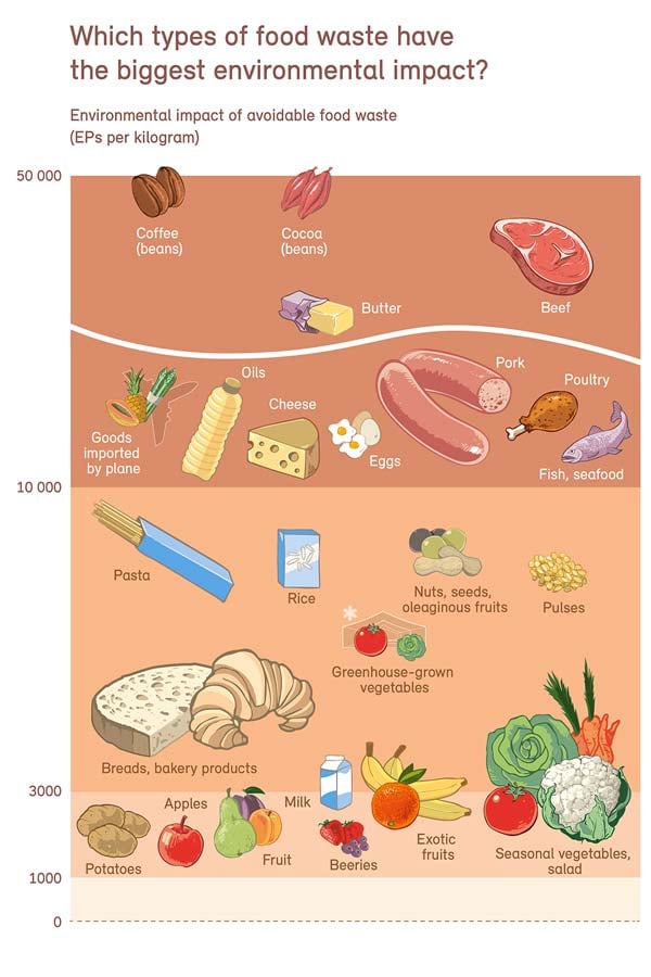 Food waste infographic