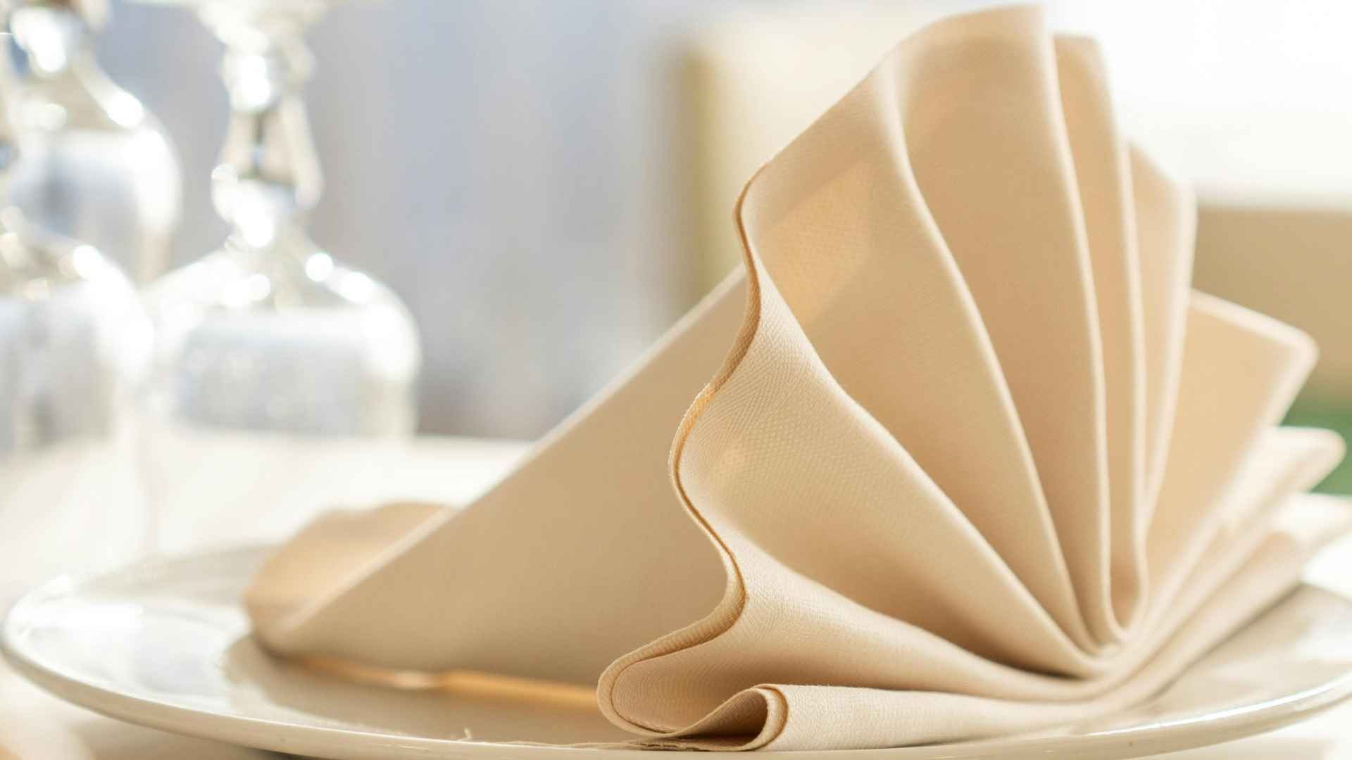 Table setting napkin