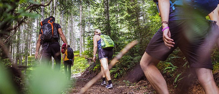 Group of hikers in the forest