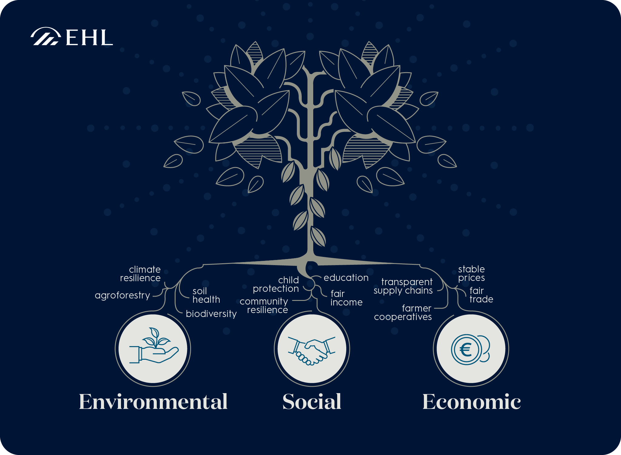 Visuel-3-pillars-sustainable-cocoa-production_1 (1)