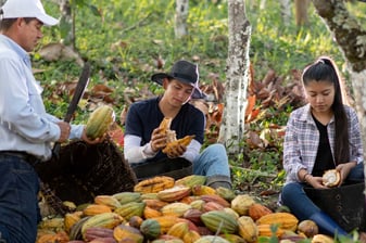 cocoa-farmers