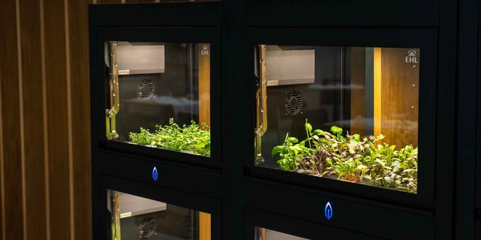 Cultivating local food at EHL's 1893: Cultifutura's vertical farming