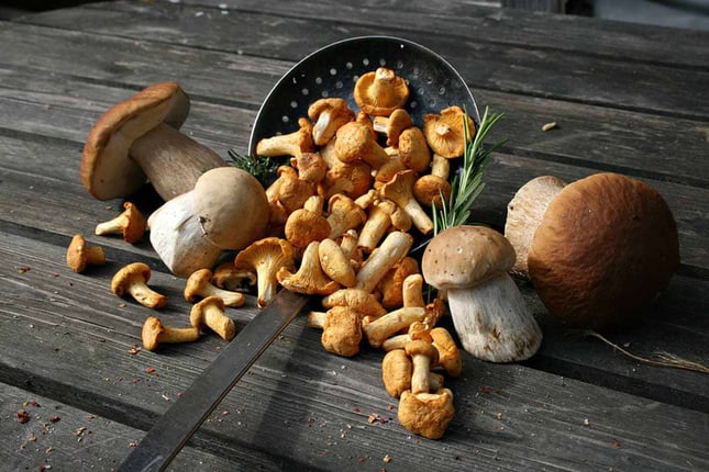 Six quick & easy mushroom recipes for autumn