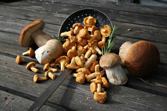 champignons, recettes de champignons