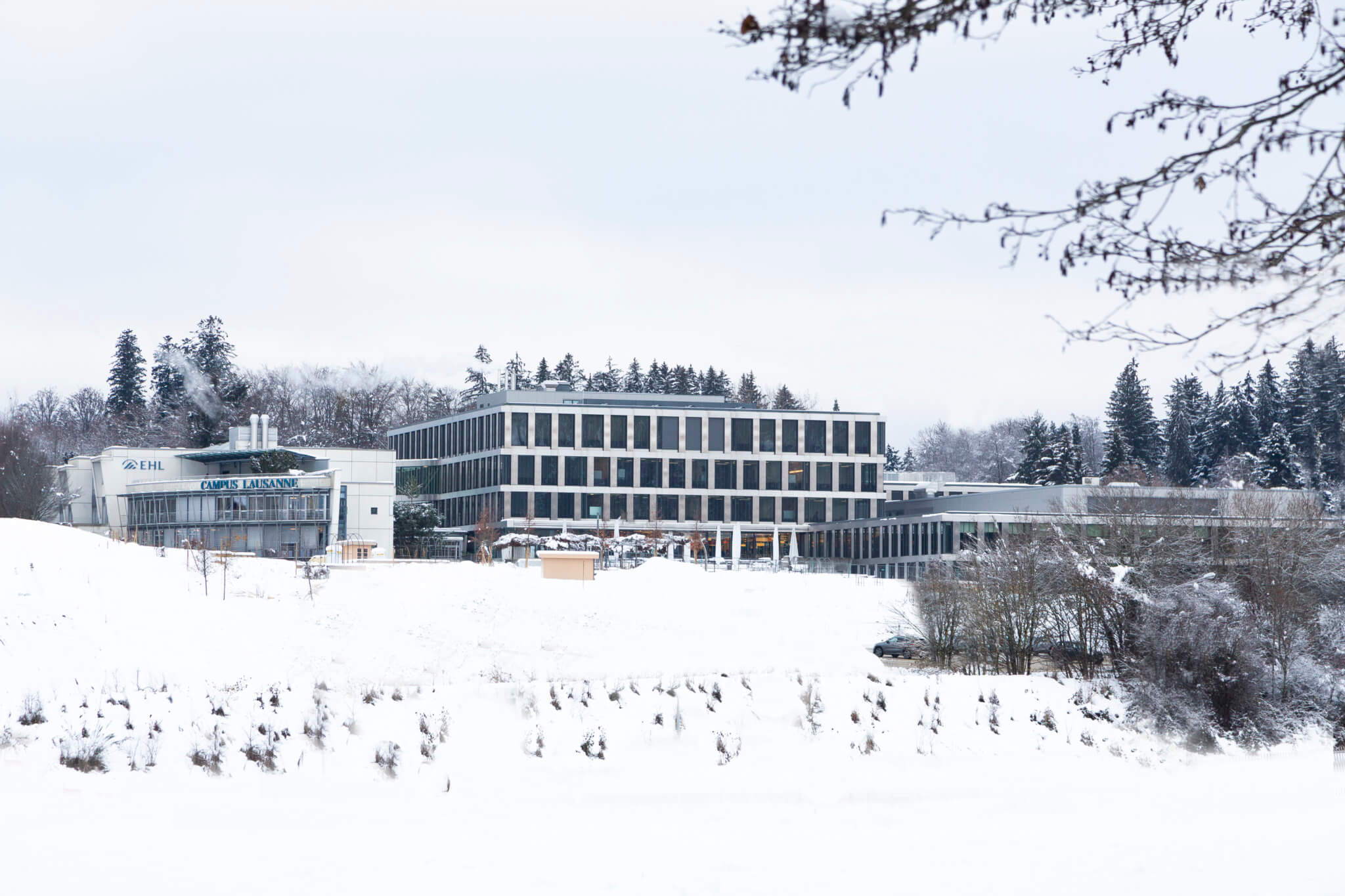 EHL-in-Snow_Campus-1-2048x1365