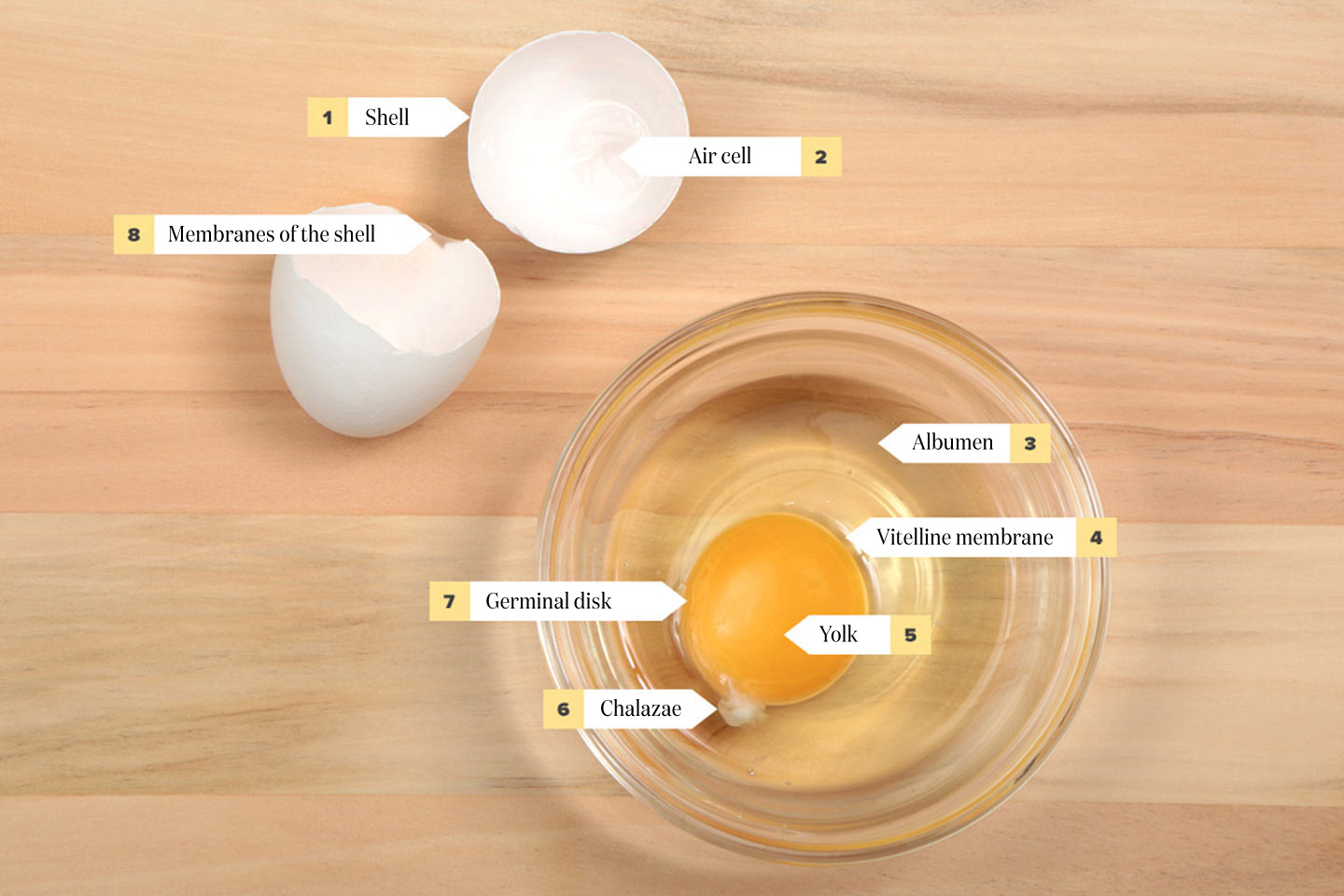 cooking an egg alters its appearance due to what the science explained Protein denaturation by heat
