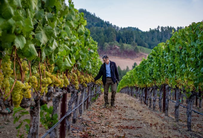 small wine producers