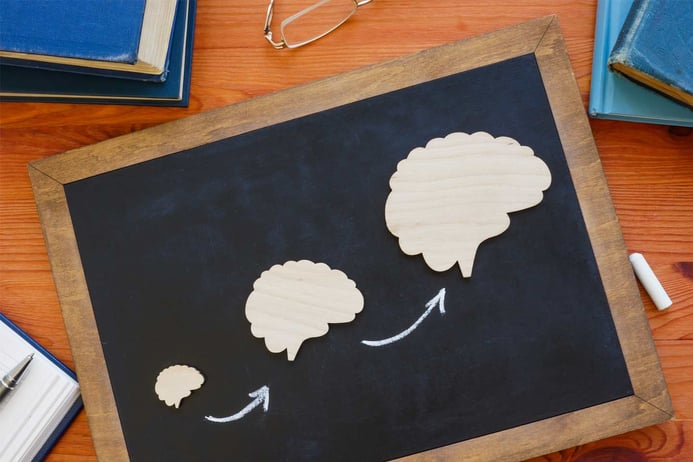 Why lifelong lllearning is important