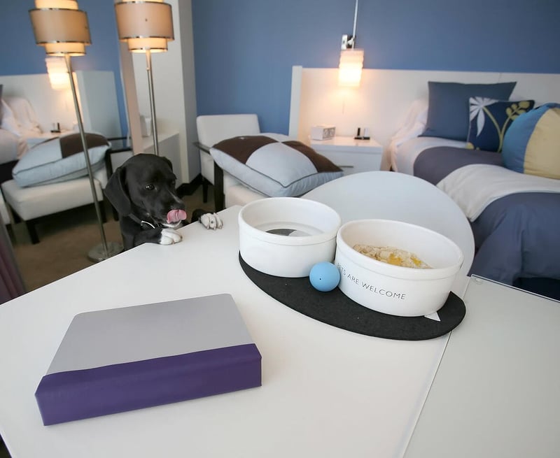 Pet hotels