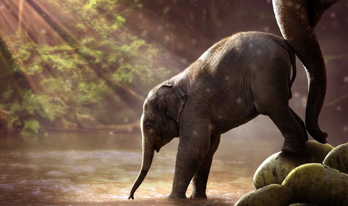 Think of the small cards inviting you to reuse your towel in the hotel bathroom, for example.