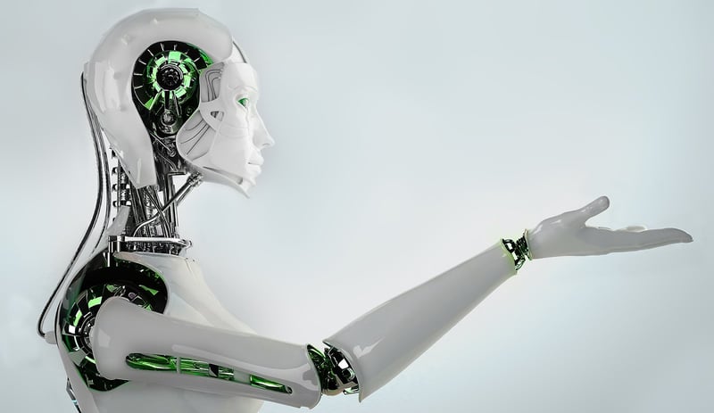 Papper the Humanoid Robot Concierge