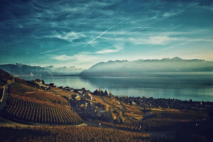 Swiss fine wines