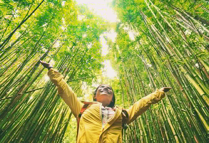 Is 2020 the Year of Sustainable Business in Hospitality?