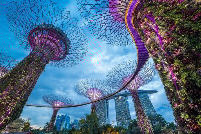 Study abroad in Singapore