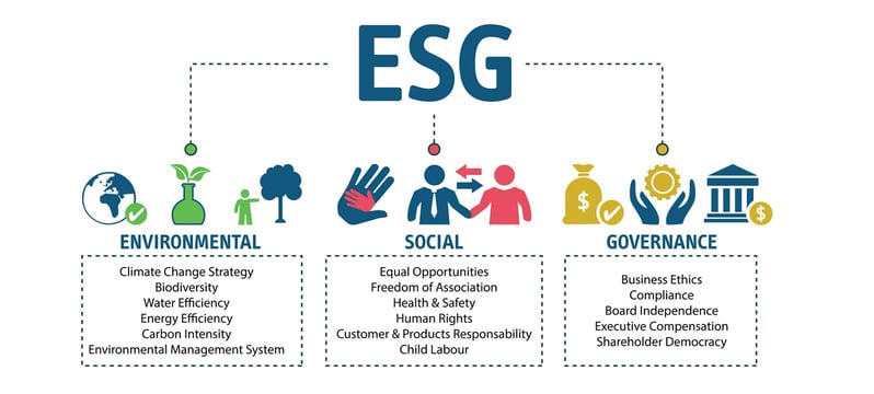 Sustainable Business Practices vs Business Recovery