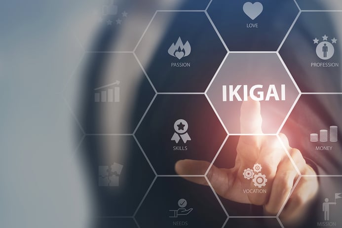 Ikigai meaning