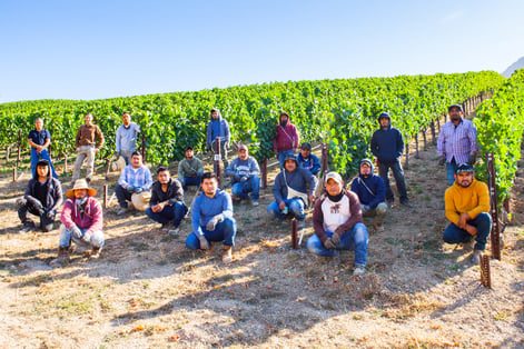 Vineyard Team