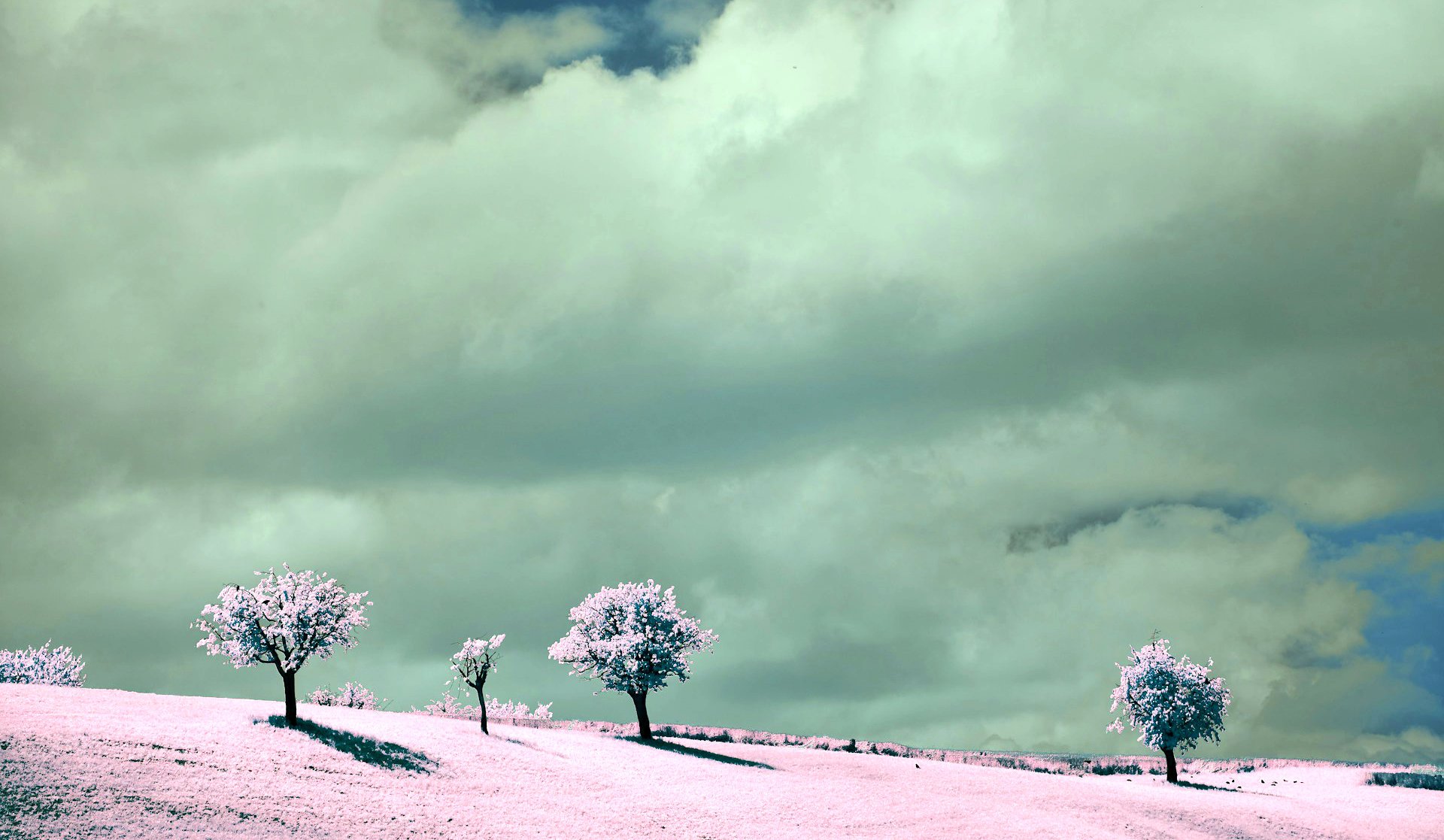 Avant garde landscape in VR