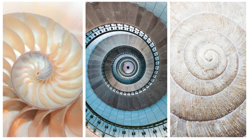 biomimicry