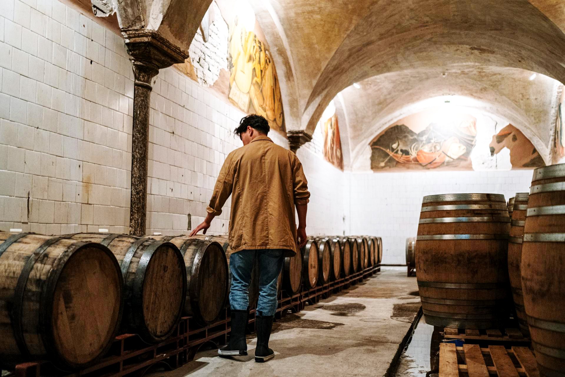Barrels in a brewery