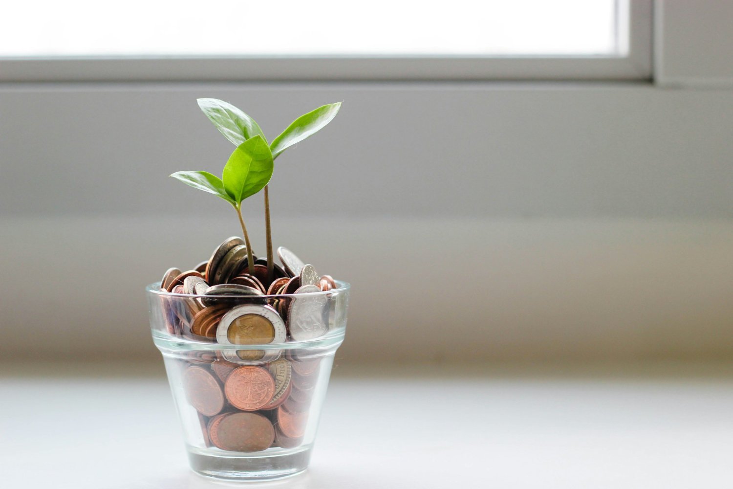 A planter with coins in it