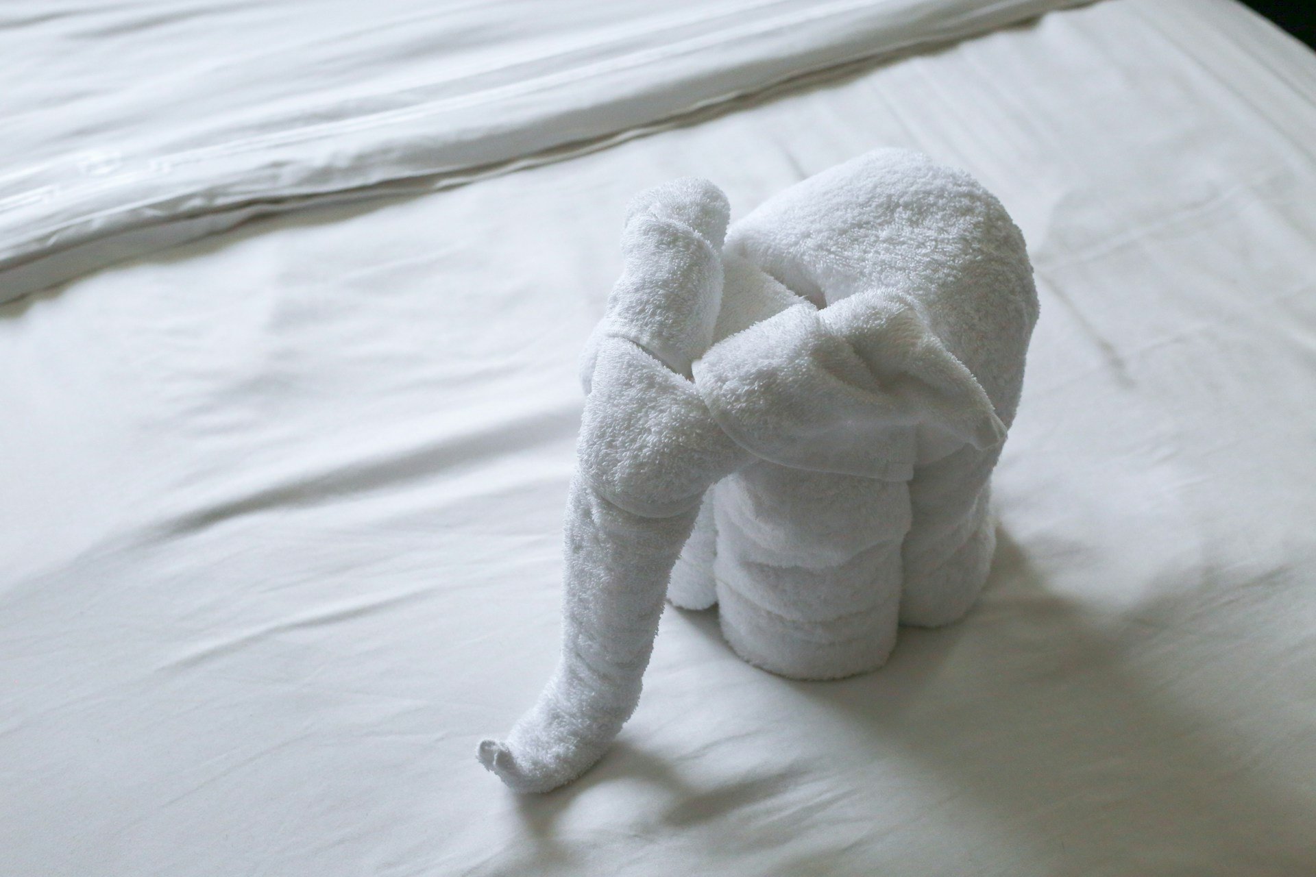 Towel origami