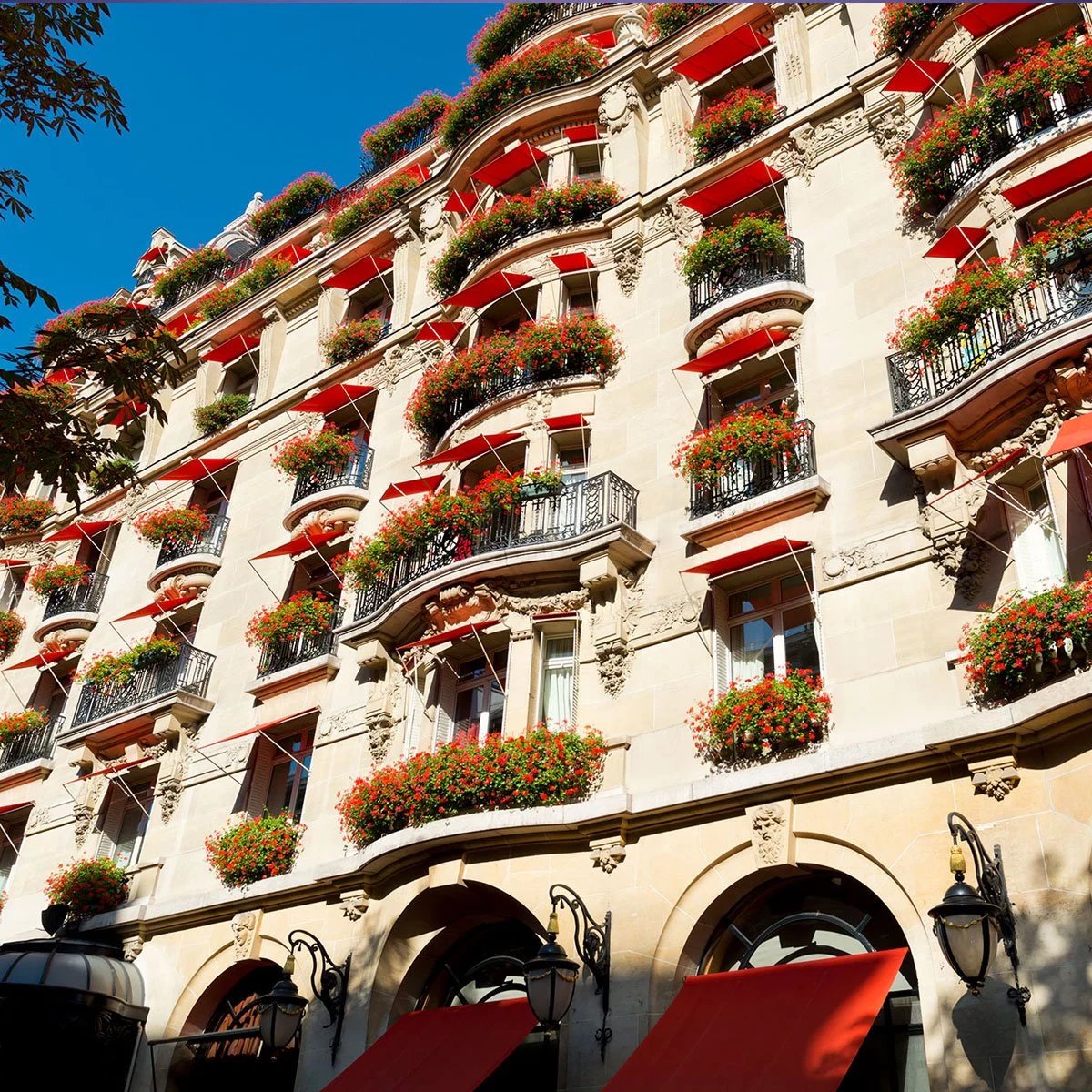 Luxury hospitality at Hôtel Plaza Athénée in Paris