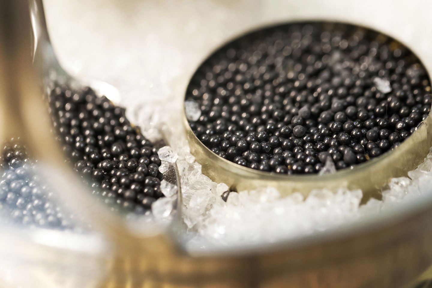 Le caviar est un aliment gastronomique de luxe, élaboré à partir d'œufs d'esturgeon.