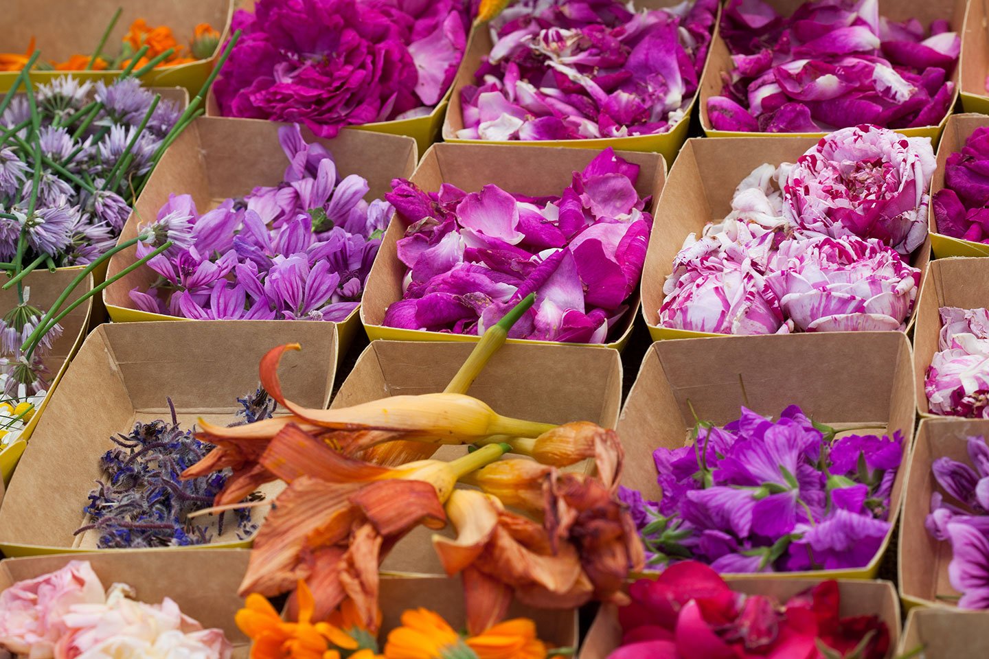 Eat with your eyes: A beginner's guide to adding edible flowers to