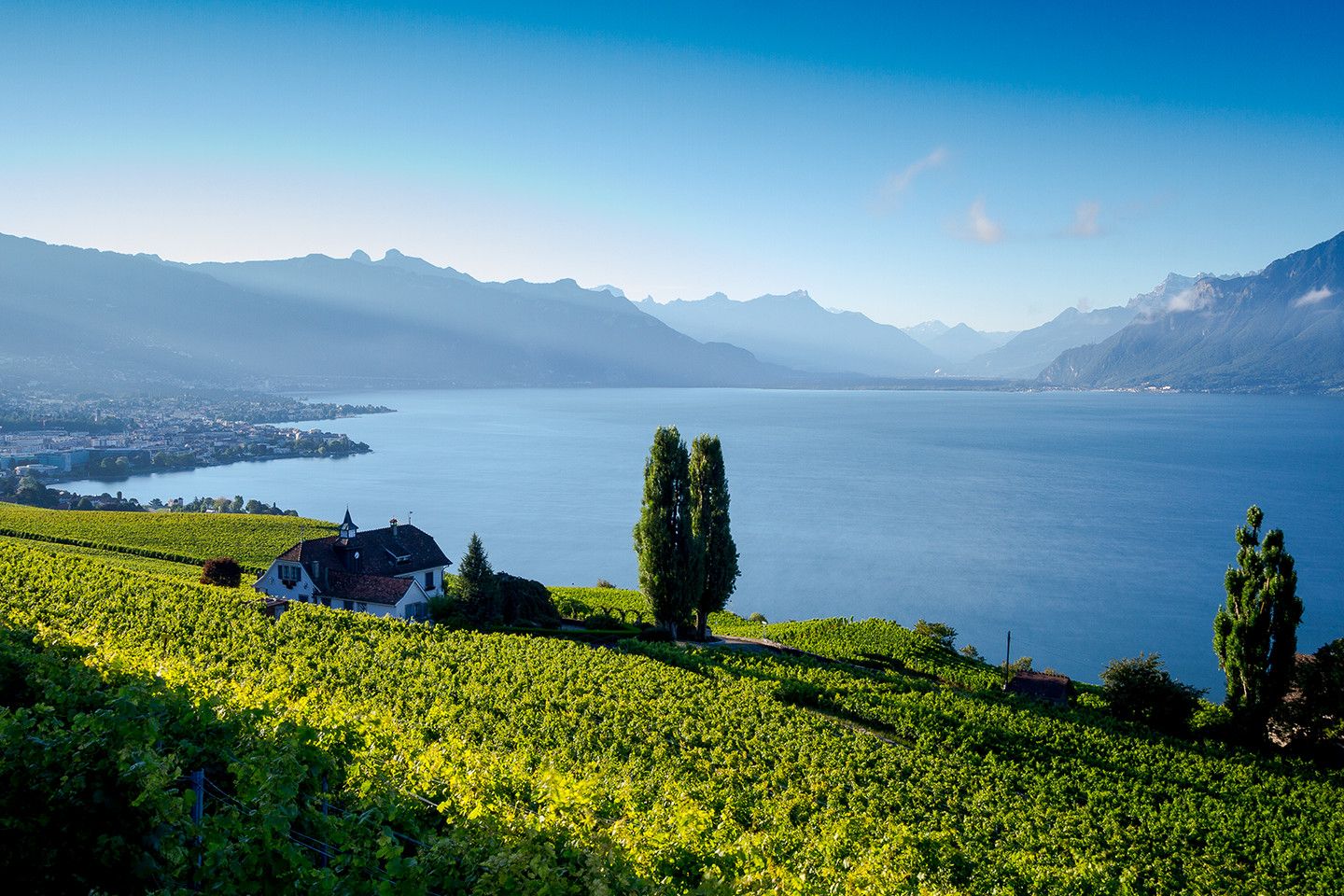 Canton de Vaud, Suisse : lacs, montagnes, vins, et EHL