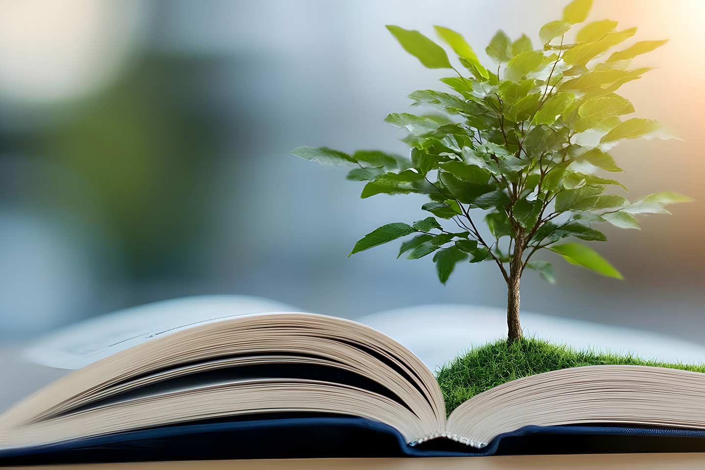 a tree emerges from the pages of an open book