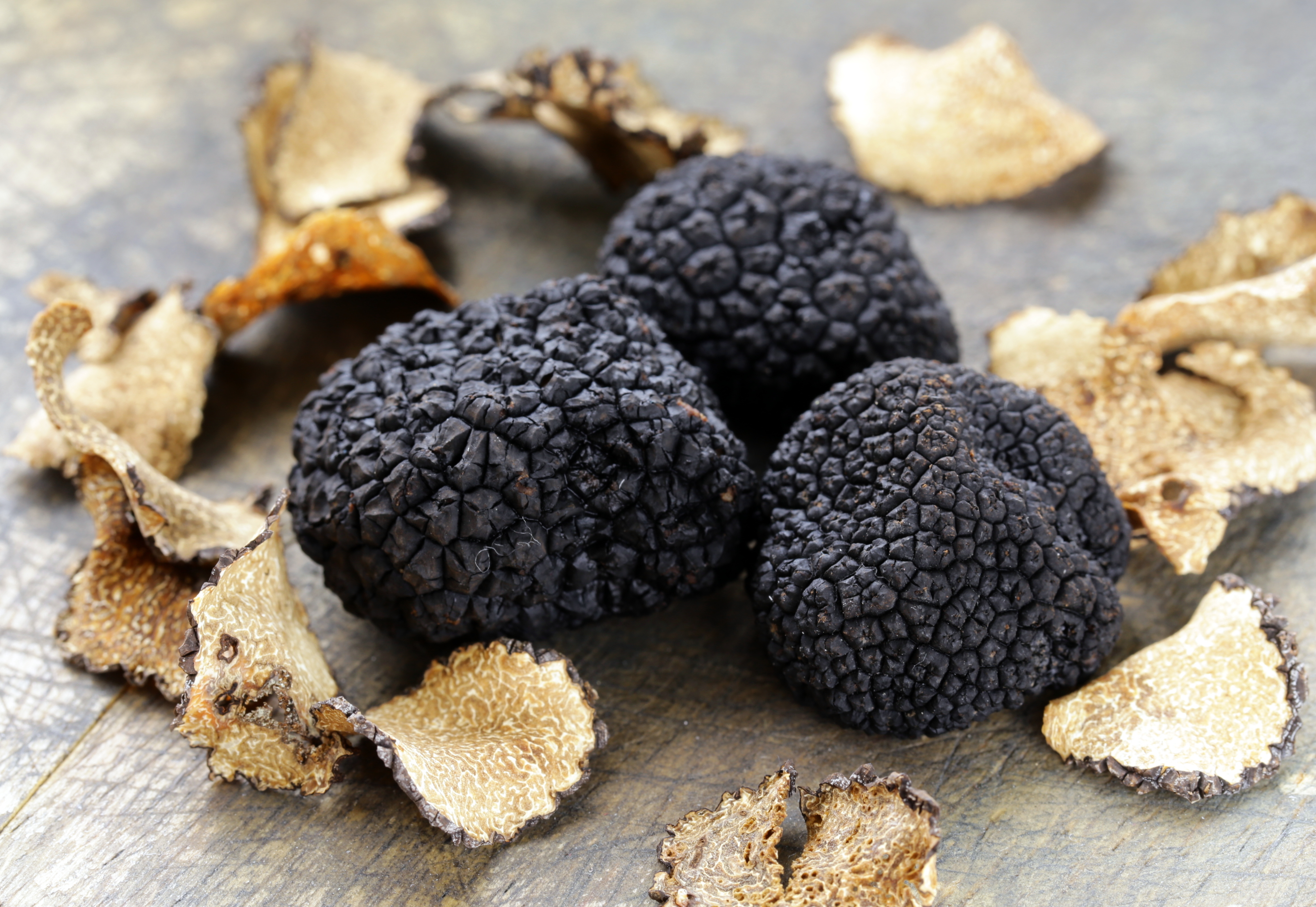 Truffle: The black diamond of the kitchen - EHL Insights | Culinary arts
