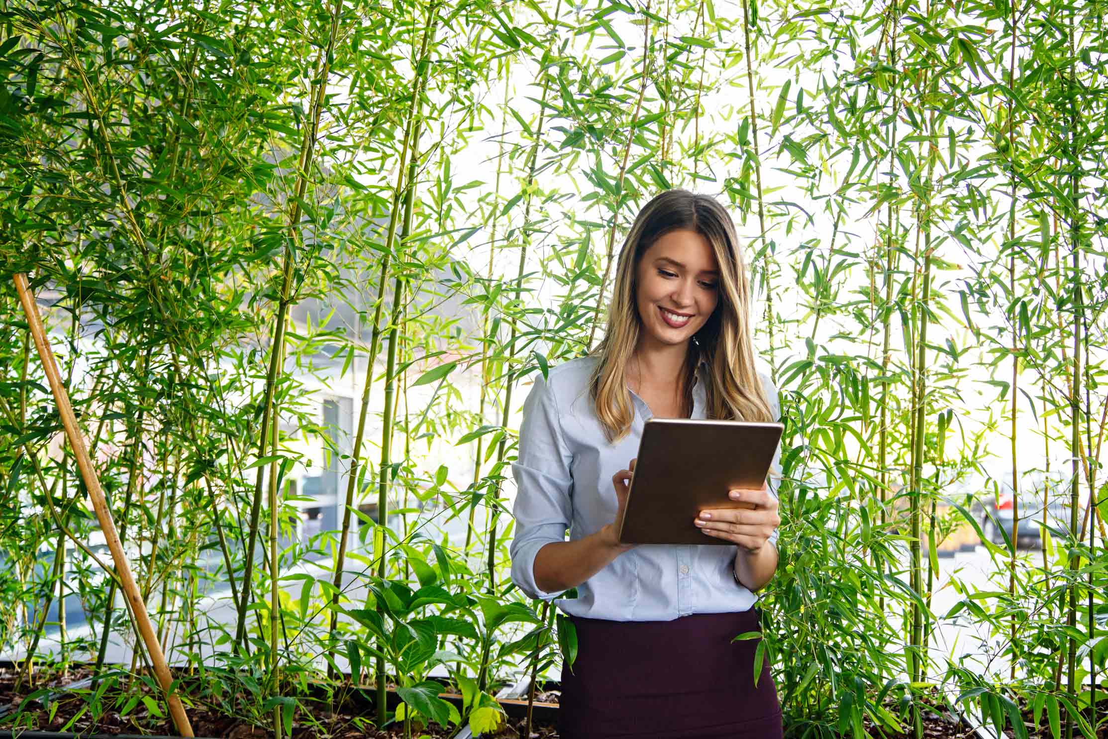 Nachhaltige Karrierechancen mit Sustainable Management Spezialisierung