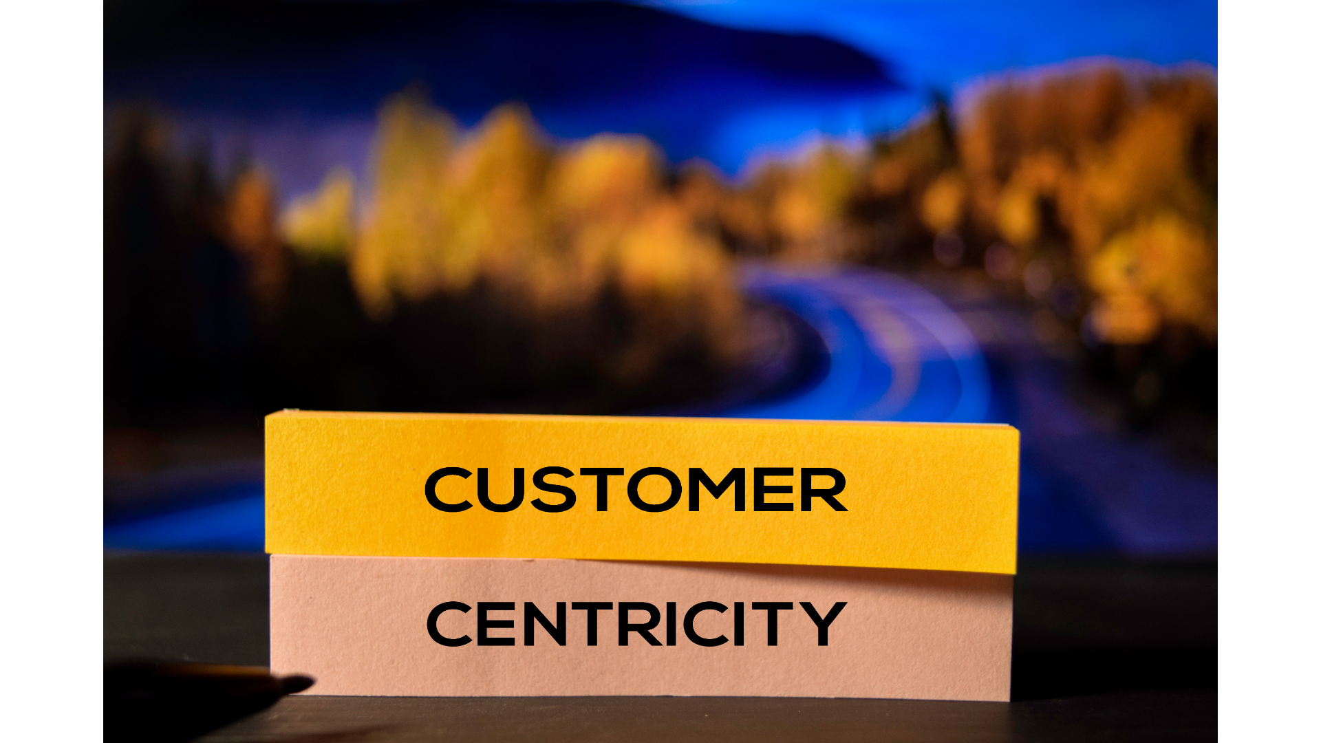 Image représentant Infographic: Is Your Organization Customer Centric?