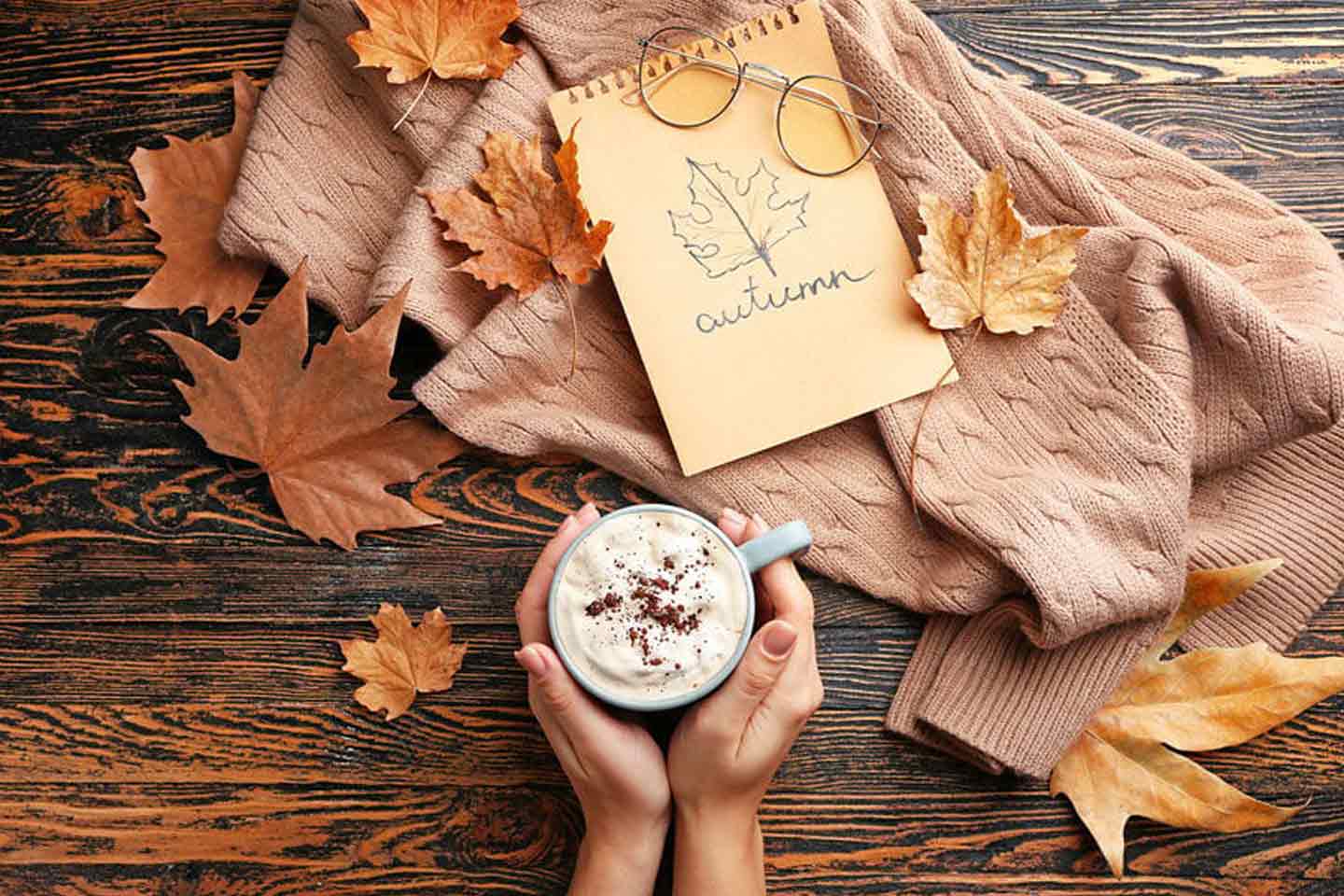 Pumpkin Spice: Recettes et conseils