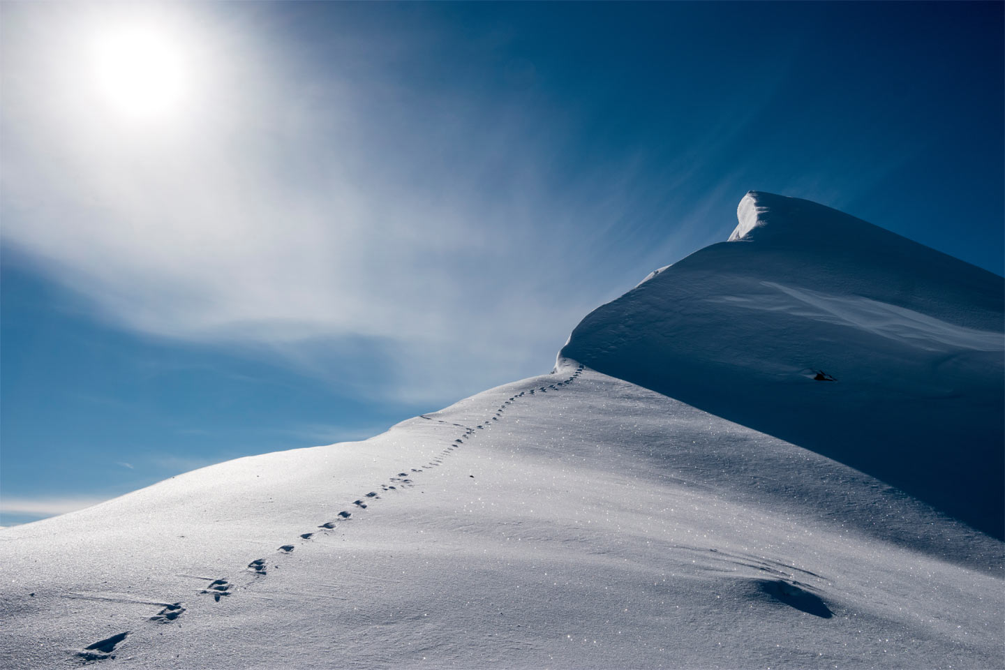 Footsteps in the snow to start your winter semester at EHL