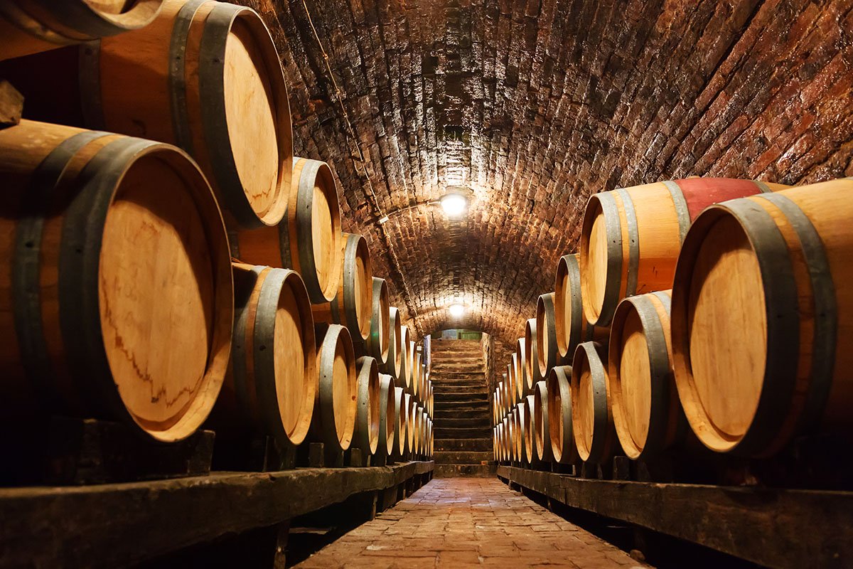 Photography of a wine cellars